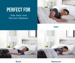 Fiber & Shredded Memory Foam Pillow With Zippered Inner Cover, 2-Pack -Northlight Sales Store 810490764 810490765 810490766 810490767 810490768 810490769 2