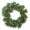 10" Deluxe Windsor Pine Light-Up Wreath -Northlight Sales Store 810509092