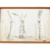 White & Green Eucalyptus In Jars Framed Canvas