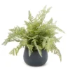 11" Green Artificial Fern In Black Round Pot -Northlight Sales Store 810544290