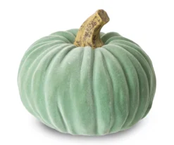 Mint Green Velvet 3-Piece Rib Pumpkin Set -Northlight Sales Store 810547831 4