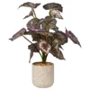 Red Artificial Begonia Plant In Beige Speckled Pot -Northlight Sales Store 810548569
