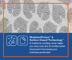 Edgefield Twin Plush Euro Pillow Top Mattress -Northlight Sales Store 810548843 810548844 810548845 810548846 810548847 810548848 6 2