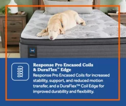 Edgefield Twin Plush Euro Pillow Top Mattress -Northlight Sales Store 810548843 810548844 810548845 810548846 810548847 810548848 7 2