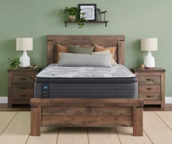 Sealy Edgefield Plush Euro Pillow Top Mattress -Northlight Sales Store 810548845 1