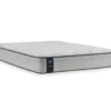 Clearwater Twin Plush Euro Top Mattress -Northlight Sales Store 810548915 810548916 810548917 810548918 810548919 810548920 1