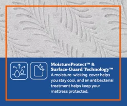 Clearwater California King Plush Euro Top Mattress -Northlight Sales Store 810548915 810548916 810548917 810548918 810548919 810548920 6 2