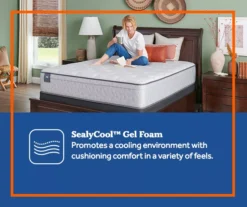 Cantrill California King Plush Tight Top Mattress -Northlight Sales Store 810548921 9