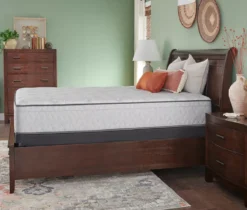Sealy Cantrill Plush Tight Top Mattress 24 Sealy Cantrill Plush Tight Top Mattress -Northlight Sales Store 810548926 2 1