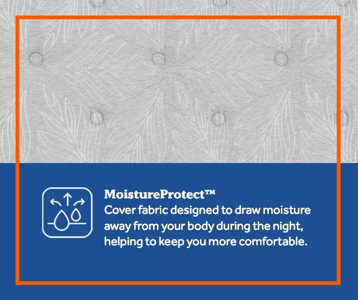 Sealy Cantrill Plush Tight Top Mattress 8 Sealy Cantrill Plush Tight Top Mattress - Image 6