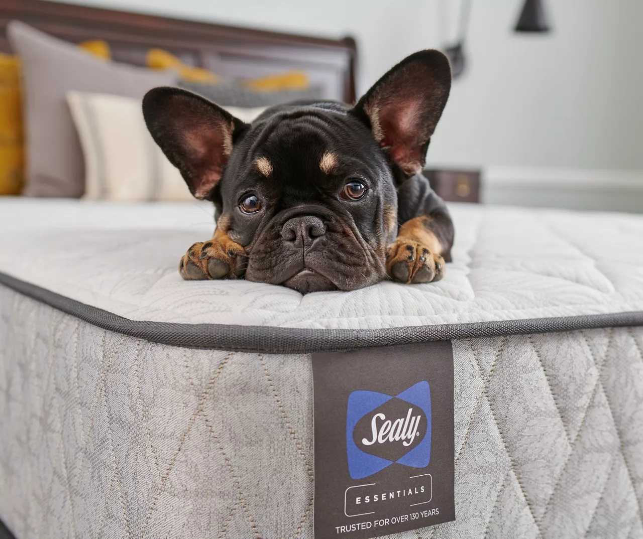 Bakersfield Queen Firm Tight Top Mattress 16 Bakersfield Queen Firm Tight Top Mattress - Image 14