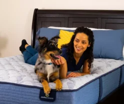 Perfect Sleeper ICollection Manor California King Firm Mattress -Northlight Sales Store 810551828 810551829 810551831 810551833 810551832 810551830 F0 4 2