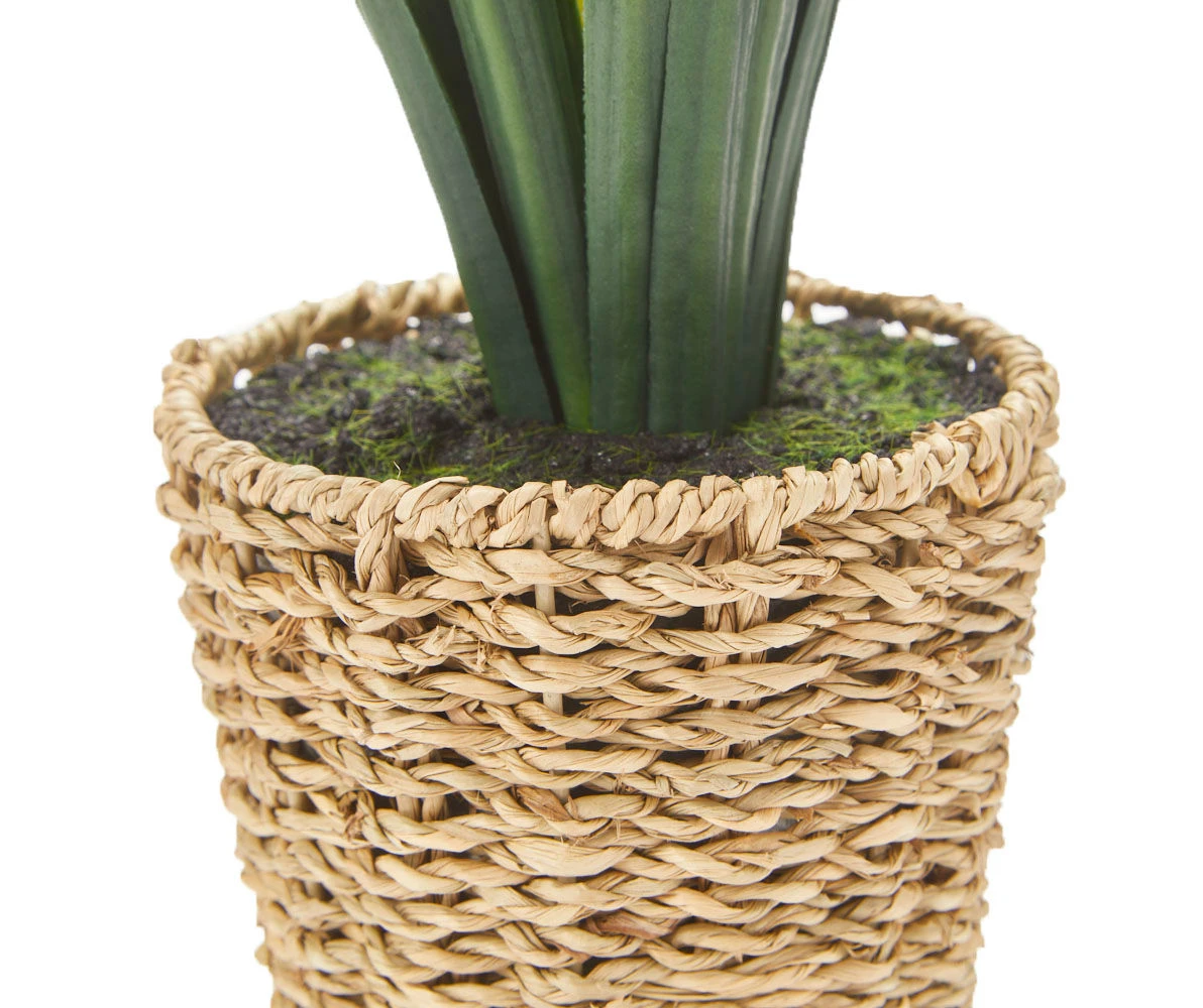 Green Artificial Cymbidium Plant With Brown Woven Pot 4 Green Artificial Cymbidium Plant With Brown Woven Pot - Image 2