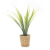 Green Artificial Cymbidium Plant With Brown Woven Pot -Northlight Sales Store 810557191