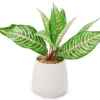 Green Artificial Leafy Arrangement With White Ridged Ceramic Pot 1 Green Artificial Leafy Arrangement With White Ridged Ceramic Pot -Northlight Sales Store 810561038