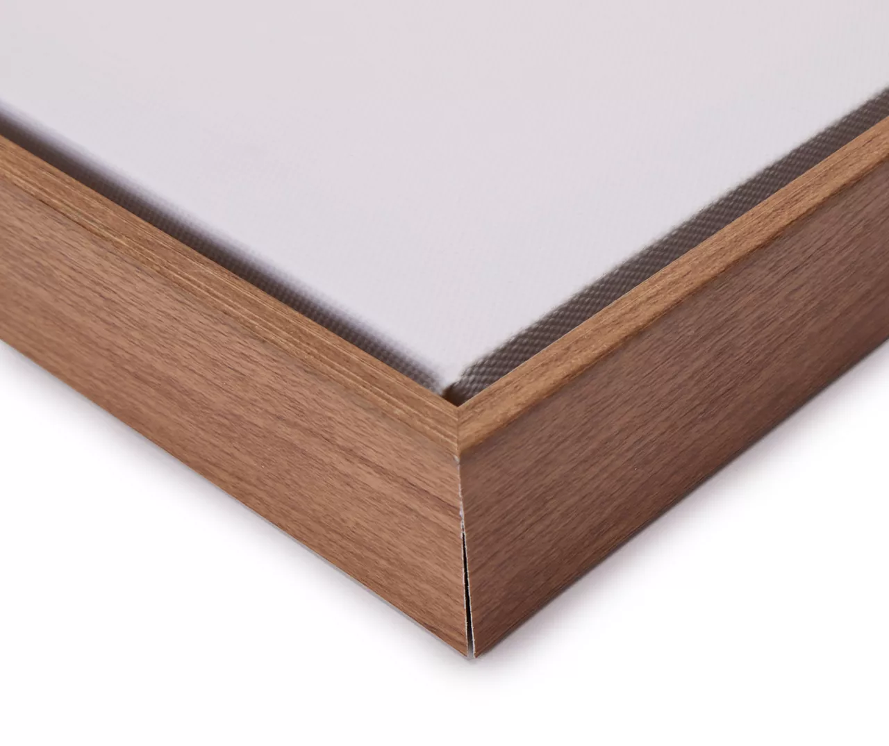 Blue & Brown Fish 1 Framed Canvas 4 Blue & Brown Fish 1 Framed Canvas - Image 2