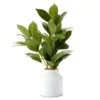 Green Artificial Banyan Plant With White Ceramic Pot 2 Green Artificial Banyan Plant With White Ceramic Pot -Northlight Sales Store 810564615