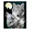 Raschel Gray & Dark Blue Wolves Throw, (50" X 60") 1 Raschel Gray & Dark Blue Wolves Throw, (50" X 60") -Northlight Sales Store 810564987