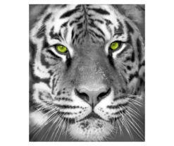 Raschel Gray White Tiger Throw, (50" X 60")