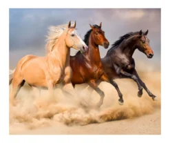 Raschel Brown Horses Throw, (50" X 60")