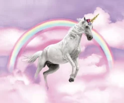 Raschel Pink & Purple Unicorn Throw, (50" X 60")