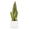 Green Snake Plant In White Rib Pot -Northlight Sales Store 810591362 A0