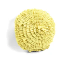 Lush Decor Harley Purple & Turquoise Paisley Arabesque Quilt Set -Northlight Sales Store 810595939 6