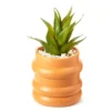 Wild Sedona Artificial Succulent In Orange Ribbed Cement Pot 2 Wild Sedona Artificial Succulent In Orange Ribbed Cement Pot -Northlight Sales Store 810601628 A0 1