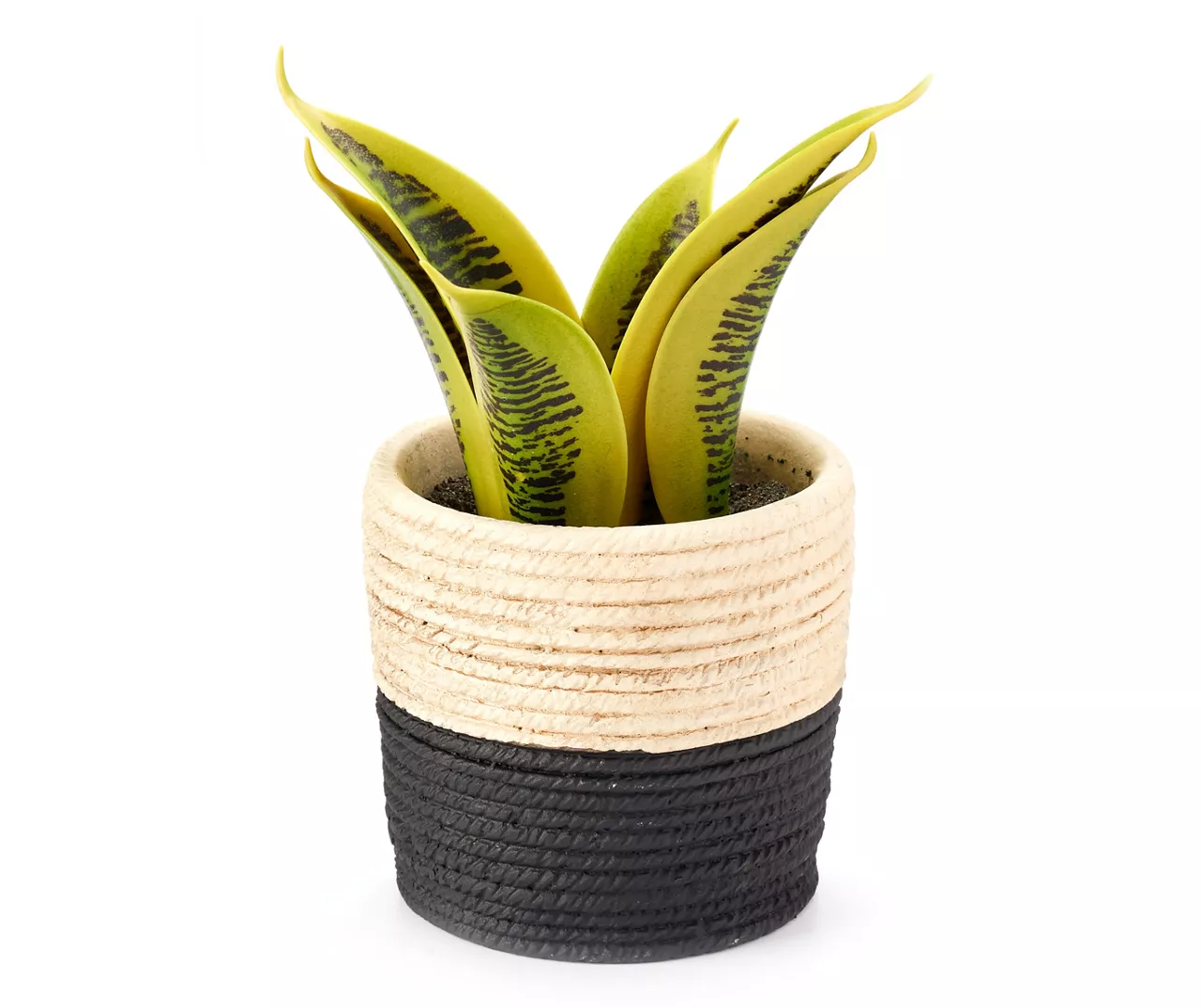 Artificial Succulent In Black & White Braid Resin Pot 3 Artificial Succulent In Black & White Braid Resin Pot