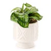Wild Sedona Green Artificial Plant With White Geometric Pot -Northlight Sales Store 810601875 A0 1