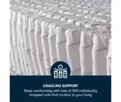 Danielsville Queen Plush Mattress -Northlight Sales Store 810602527 810602528 810602529 810602530 810602531 810602532 M8 5 1