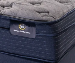 Demorest California King Plush Euro Top Mattress -Northlight Sales Store 810602533 810602534 810602535 810602536 810602537 810602538 4