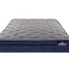 Demorest King Plush Euro Top Mattress 1 Demorest King Plush Euro Top Mattress -Northlight Sales Store 810602533 810602534 810602535 810602536 810602537 810602538 7