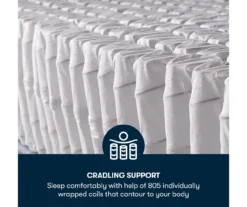 Demorest King Plush Euro Top Mattress -Northlight Sales Store 810602533 810602534 810602535 810602536 810602537 810602538 M8 4 3