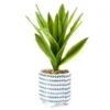 Bohemian Farmhouse Green Artificial Plant With White Patterned Pot -Northlight Sales Store 810602693 A0 1