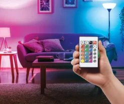 Glow-Up 6-Watt A19 LED Multicolor Light Bulbs, 2-Pack -Northlight Sales Store 810603451 B0 2