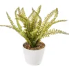 Artificial Fern In White Round Ceramic Pot -Northlight Sales Store 810603843 A0 1