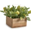 Artificial Greenery With Brown Square Wood Pot & Glass Hurricane -Northlight Sales Store 810604219 A0