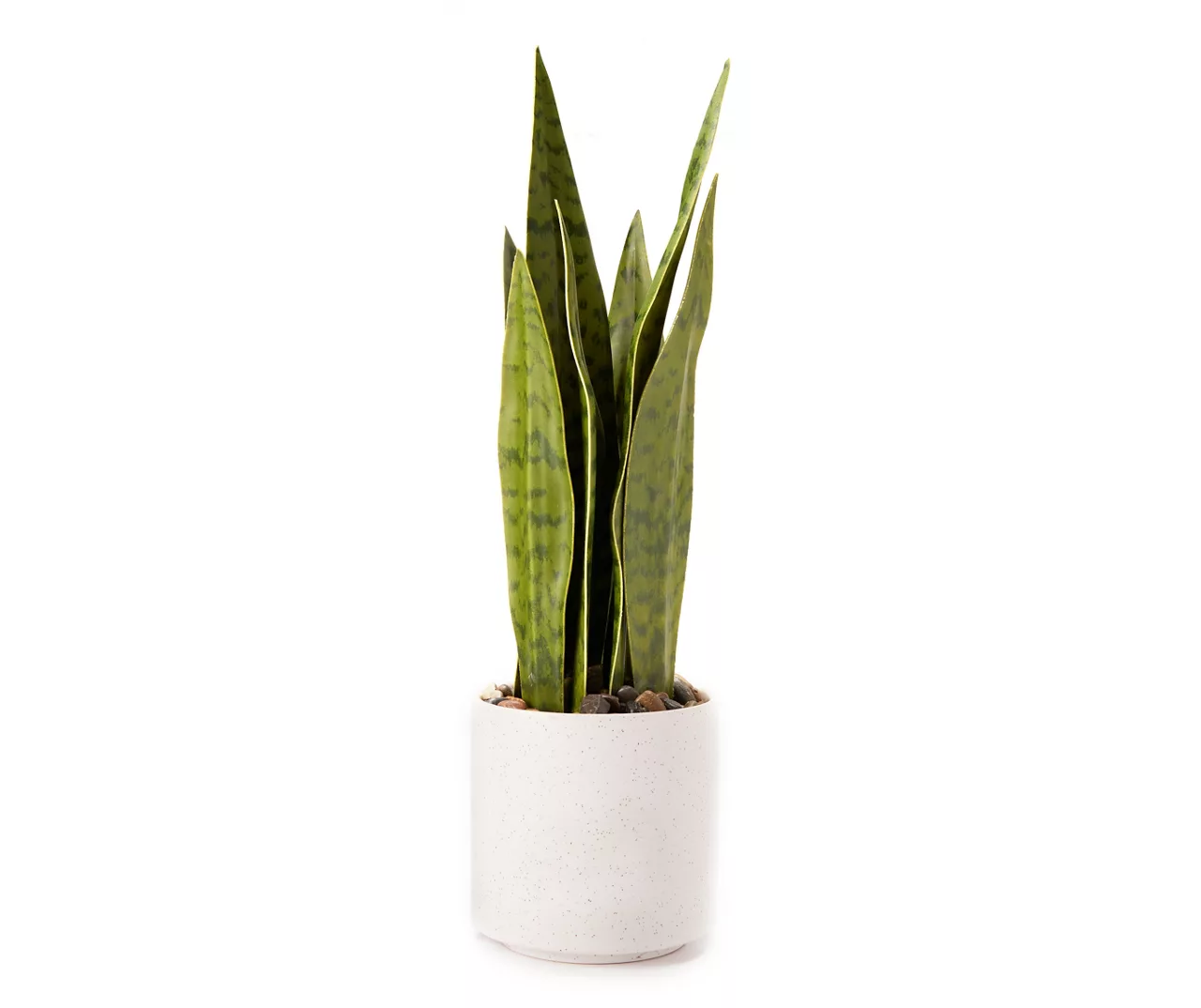 Wild Sedona Artificial Snake Plant With White Ceramic Pot 3 Wild Sedona Artificial Snake Plant With White Ceramic Pot