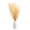 Tan Pampas Grass Arrangement With White Ceramic Pot -Northlight Sales Store 810604675 A0