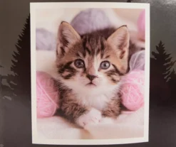 Brown & Pink Kitten Raschel Throw, (50" X 60")