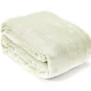 Sage Twin/Full Plush Velvet Blanket -Northlight Sales Store 810609057 810609055 A0 2