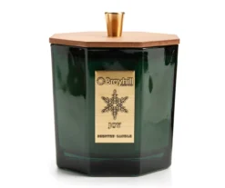 Festive Gathering Frosted Pine & Eucalyptus 3-Wick Candle, 23.5 Oz.