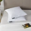 White Medium-Firm Cotton-Feather Square Pillow, 2-Pack 2 White Medium-Firm Cotton-Feather Square Pillow, 2-Pack -Northlight Sales Store 810617421 A0 1