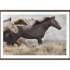 Horses In The Field Framed Art, (22" X 32")