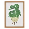 Monstera In Planter Framed Art, (12" X 16") -Northlight Sales Store 810628817 A0