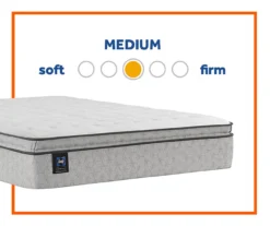 Sealy Dean California King Euro Pillow Top Mattress & Box Spring Set -Northlight Sales Store combo830035 3