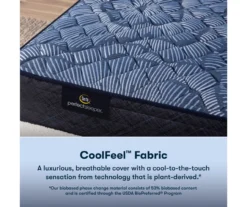 Serta Perfect Sleeper Oasis Sleep 12" Twin Extra Firm Mattress & Low Profile Box Spring Set -Northlight Sales Store combo980026 6