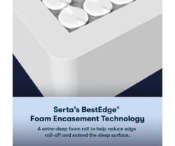 Serta Perfect Sleeper Radiant Rest Hybrid 14" Twin Plush Mattress & Box Spring Set -Northlight Sales Store combo980061 5