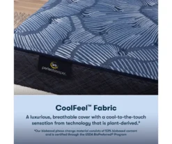 Serta Perfect Sleeper Oasis Sleep 13.25" Queen Plush Mattress & Low Profile Box Spring Set -Northlight Sales Store combo980080 6